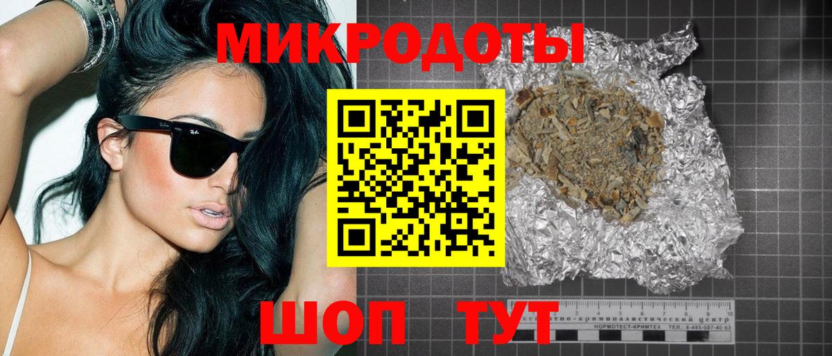 Галлюциногенные грибы Psilocybe Всеволожск