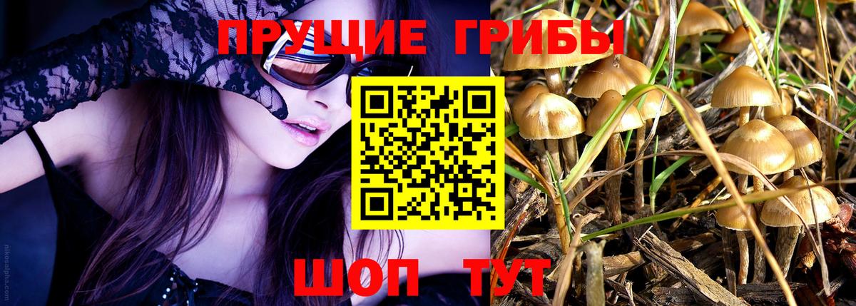 Галлюциногенные грибы Magic Shrooms  Вход с VPN  Всеволожск 